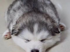 -乐界KTV(虹桥中心店)
