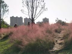 -汉长安城未央宫国家考古遗址公园