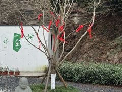 -宁波九龙湖开元度假村