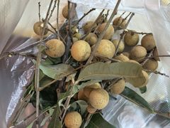 -顺德哥卜卜贝(旗舰店)