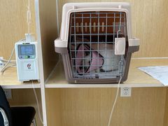 -美联众合动物医院·24h京西诊疗中心