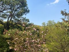 -宝岩生态观光园