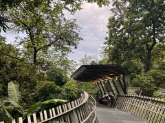 -福道