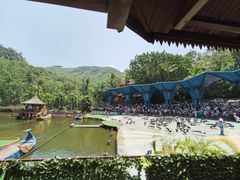 -西双版纳原始森林公园