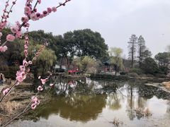 -无锡梅园公园
