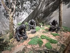 -北京周口店北京人遗址博物馆