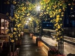 -Cohiba Atmosphere高希霸魅力俱乐部(国贸店)