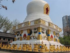 -护国法轮寺
