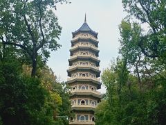 -灵谷景区