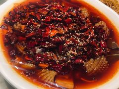 毛血旺-初蓉丨遇见新川菜(亲贤街荣耀店)