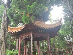 -嘉定紫藤园