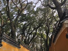 -法雨寺餐厅
