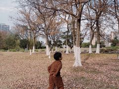 -白塘生态植物园