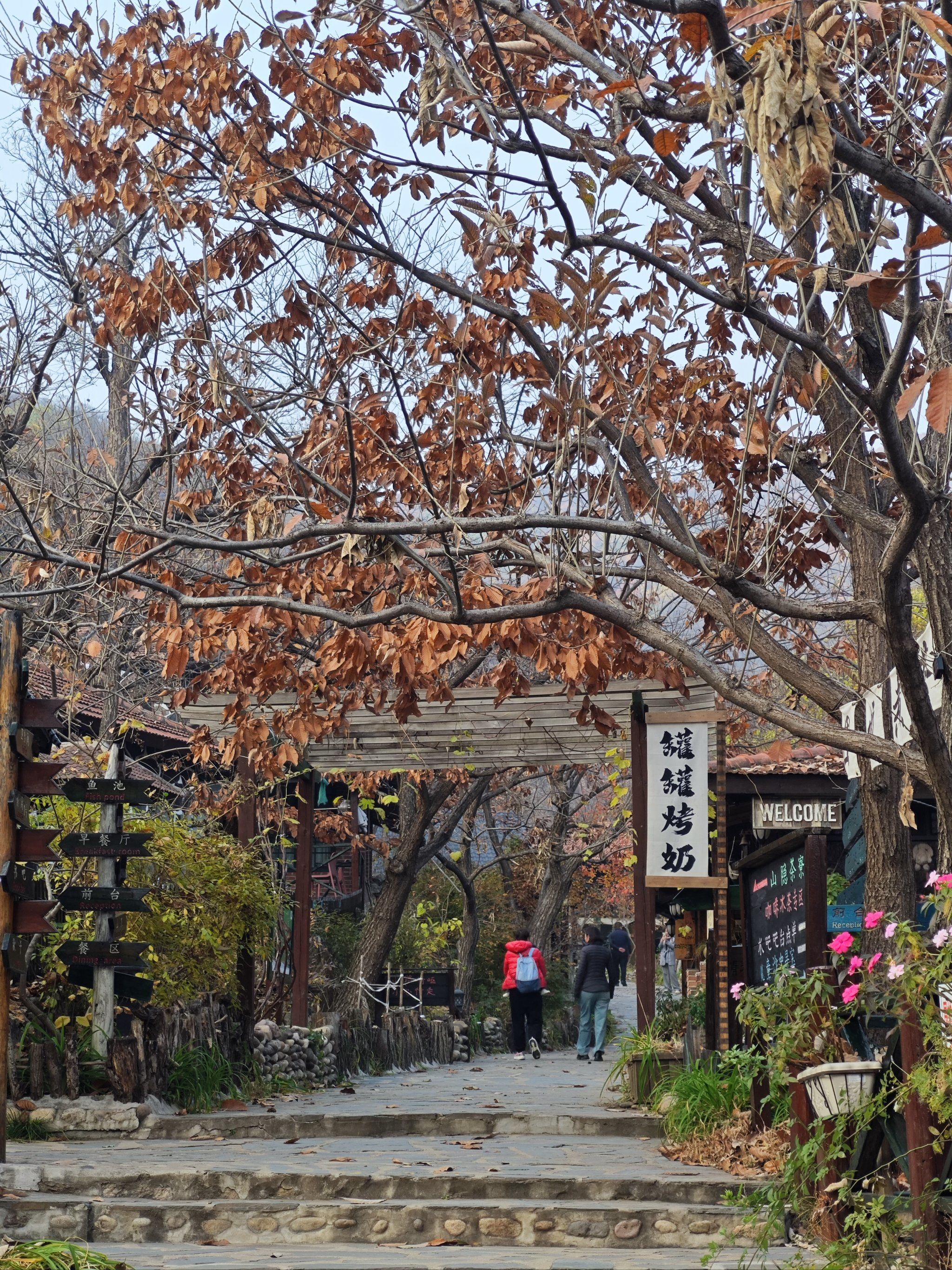 非常好,吃的也不错