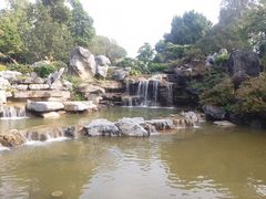 -东莞植物园