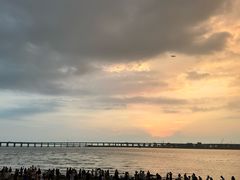 -宝安西湾红树林湿地公园