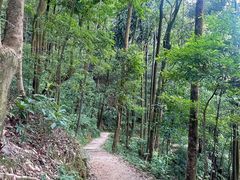 -广州市帽峰山景区