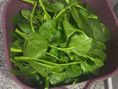 -前小桔亲子创意农场·草莓采摘·露营烧烤