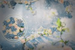 -花轿喜屋婚礼策划