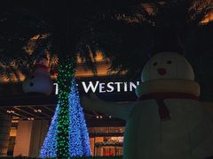 -广交会威斯汀酒店