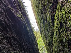 -汤旺河林海奇石景区