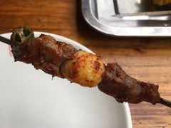 -福苗小骆驼烧烤(莲湖路店)