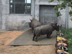 -西霞口神雕山野生动物世界