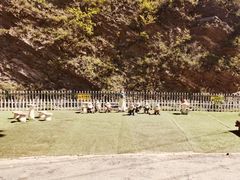 -金龙寺国家森林公园