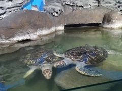 -厦门海底世界