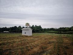 -紫颐香薰山谷景区