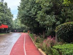 -洛龙公园