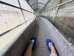 -荔江湾景区