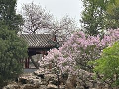-宣武艺园