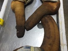 象牙棒-蚝专家(北滘店)