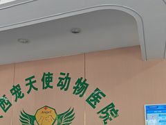 -天使宠物医院·犬猫分诊(彩虹店)