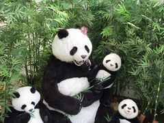 -济州岛泰迪熊博物馆