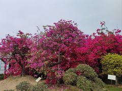 -盈香心动乐园