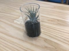 -暮蝉冰粉