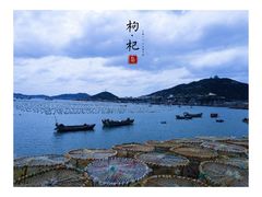 -枸杞岛