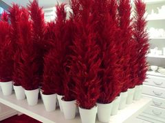 -Gentle Monster(Galleria百货狎鸥亭店)