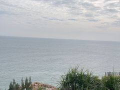 -广东惠东海龟国家级自然保护区