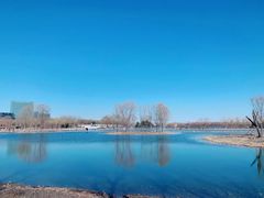 -大兴滨河森林公园