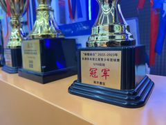 -翼速篮球·儿童体适能·中考体育(鲁能城店)