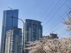 -西北湖绿化广场