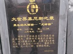 -龙津风雨桥