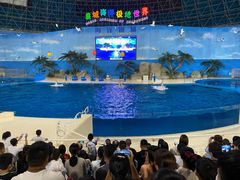 -泉城欧乐堡海洋极地世界