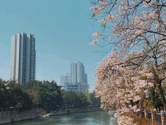 -成都市活水公园