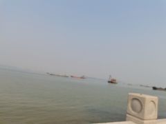 -大湾区中央湿地公园-十九涌