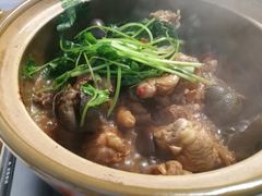 招牌必点-田螺鸡煲-食爺炭炉鸡煲·烧烤