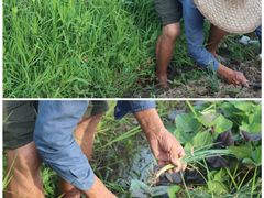 -九曲溪竹筏码头